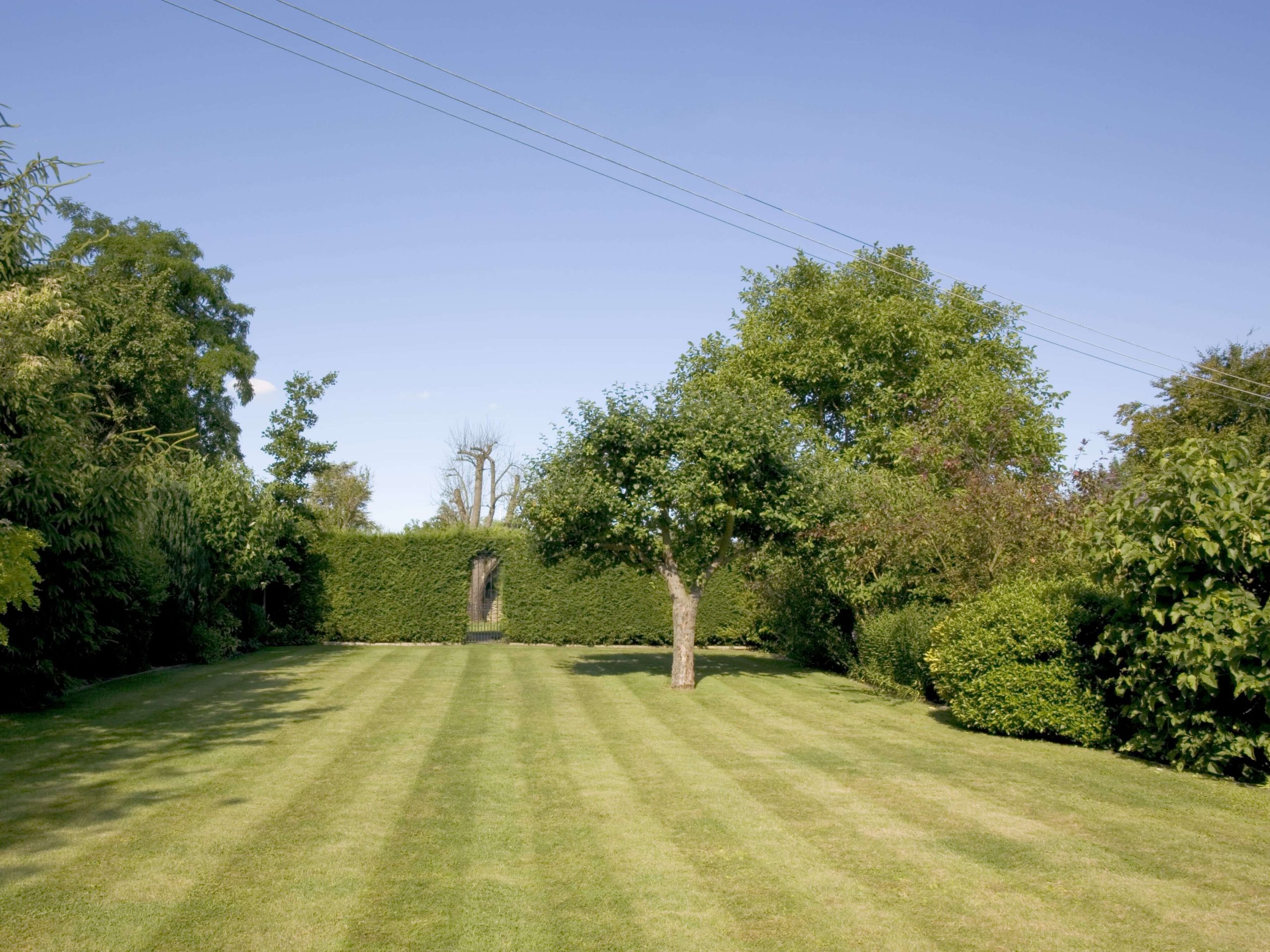 Lawn Mowing/Hedge Trimming Mitcham CR4