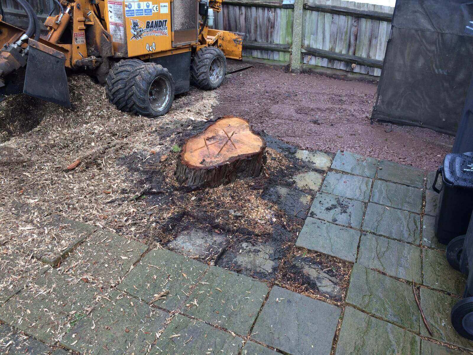 Tree Surgeons Mitcham CR4