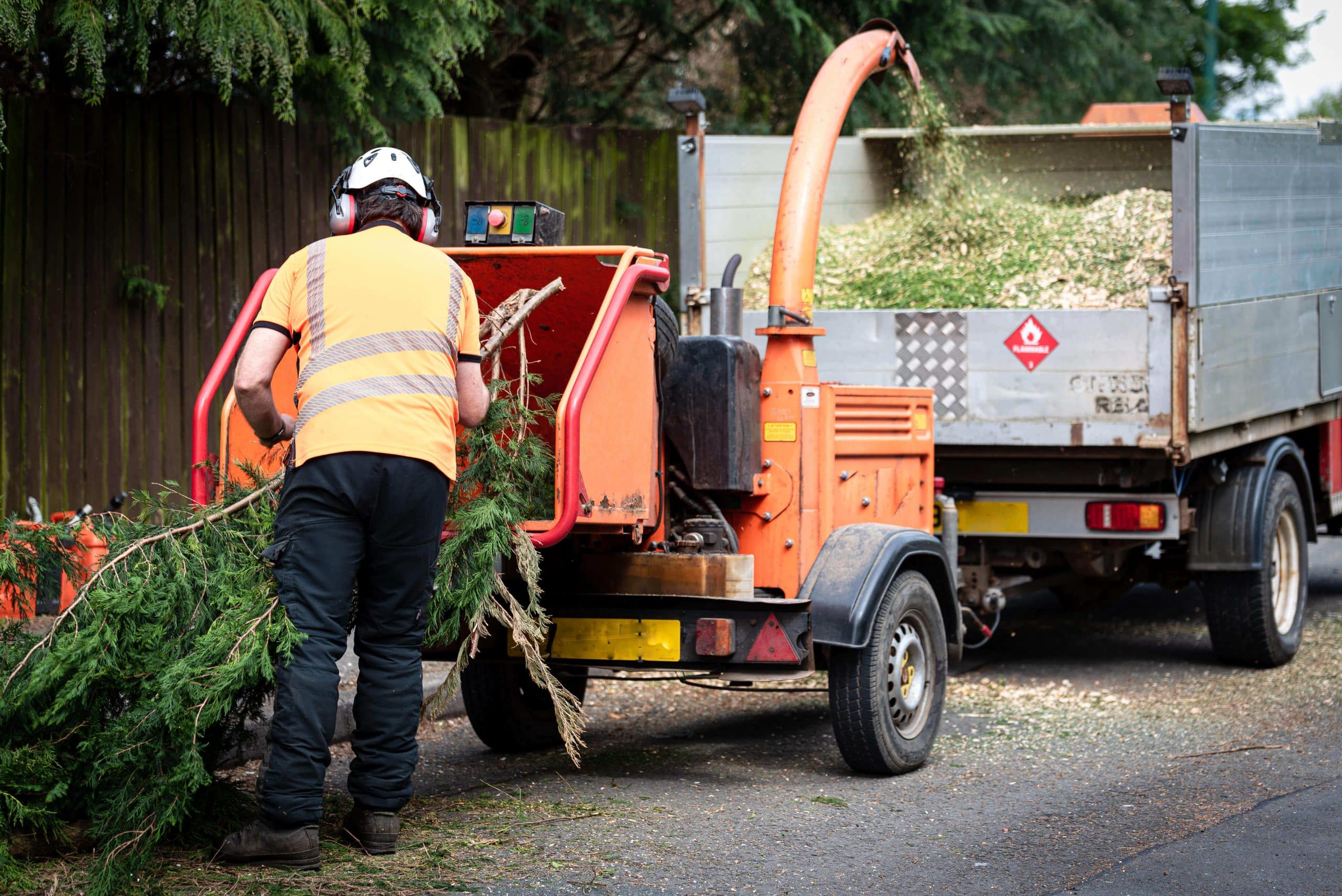 Tree Stump Grinding/Removal Mitcham CR4